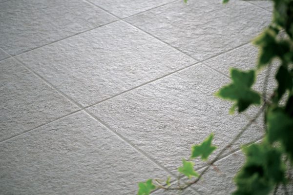 Ecology and building