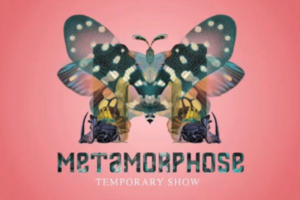 Métamorphose the official video