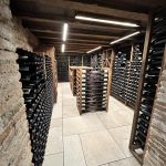 Modular composition from the Tiber collection